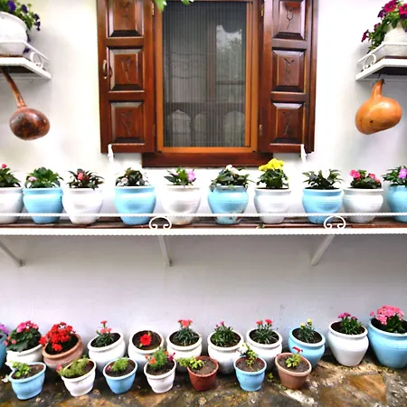 Sirincem סלצ'וק