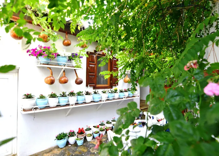 Alloggio in famiglia Sirincem Selçuk