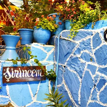 シリンジェム ペンション *