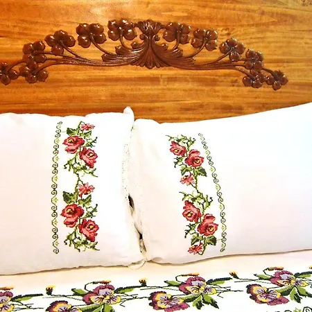 Gazde/Camere de închiriat Sirincem Selçuk