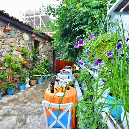 Gazde/Camere de închiriat Sirincem *