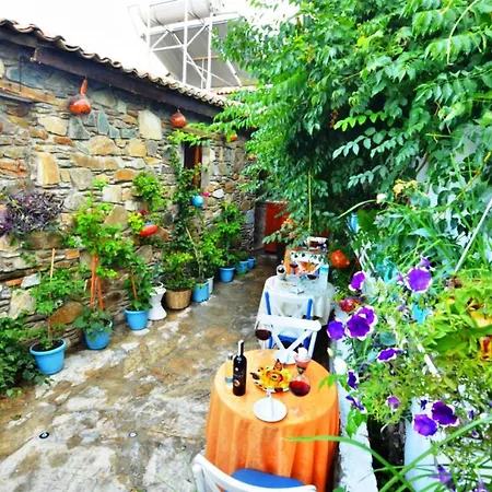 Gazde/Camere de închiriat Sirincem