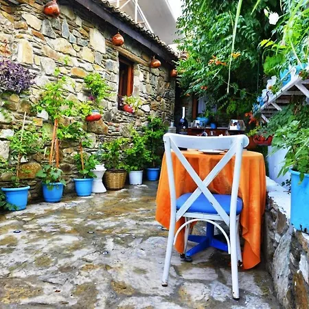 Gazde/Camere de închiriat Sirincem *