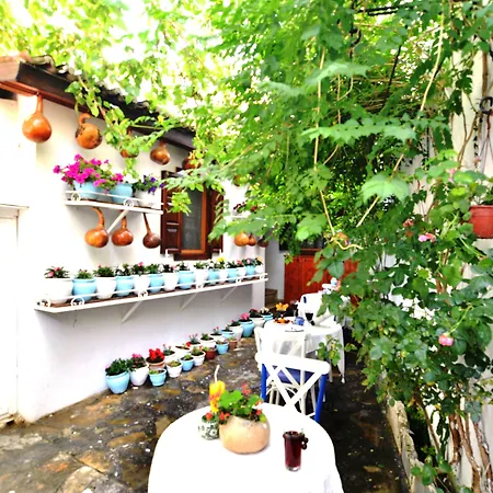 Sirincem Rum i privatbostad