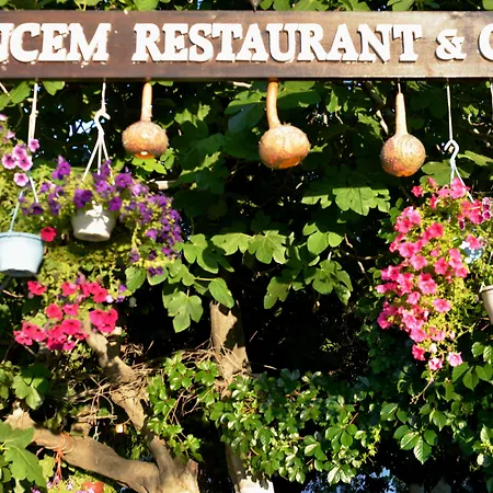 Sirincem * Selcuk