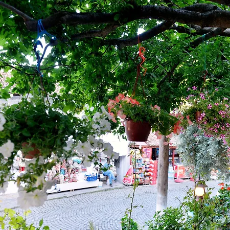 Sirincem Проживание в семье *