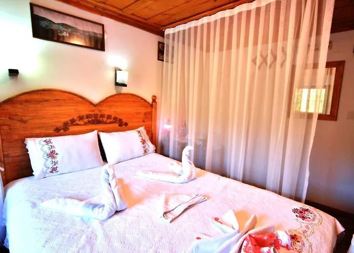 Sirincem Проживание в семье