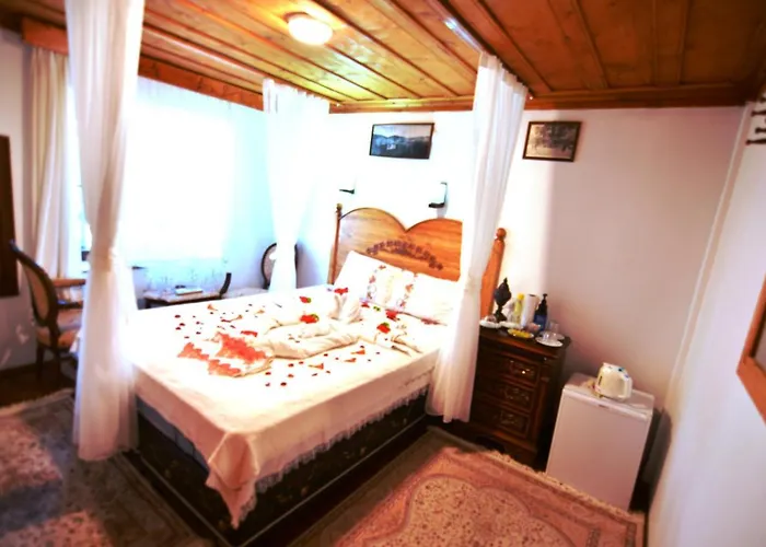 Gazde/Camere de închiriat Sirincem *