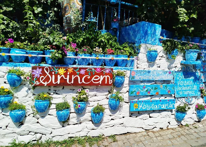 Проживание в семье Sirincem