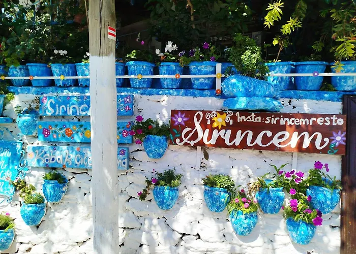 Sirincem Проживание в семье