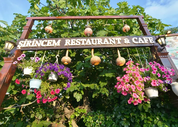 Sirincem Проживание в семье