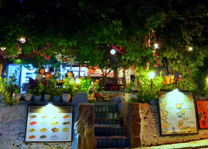 Проживание в семье Sirincem