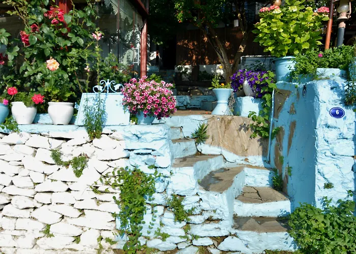 Sirincem * Сельчук