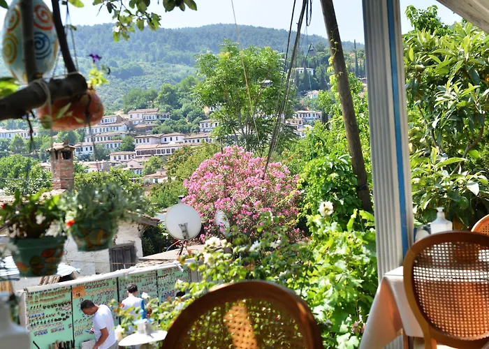 Проживание в семье Sirincem *