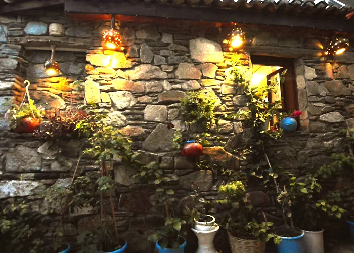 Проживание в семье Sirincem *