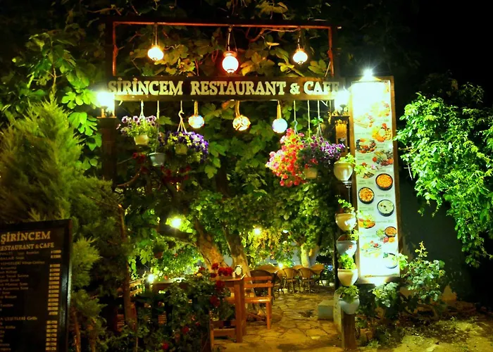 Проживание в семье Sirincem