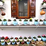 Sirincem Selçuk