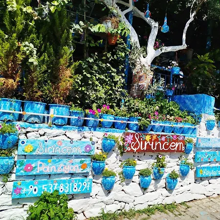 Sirincem Alloggio in famiglia Selçuk