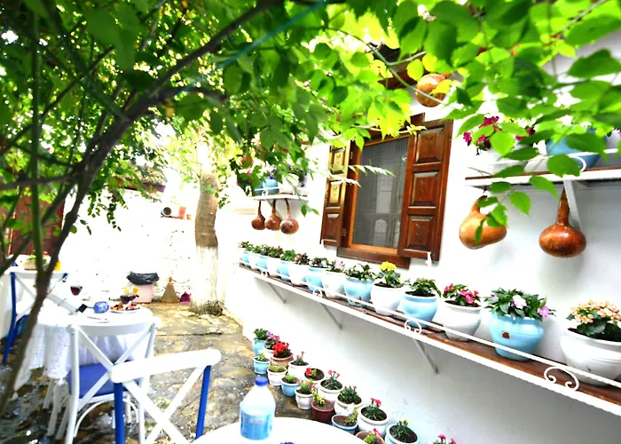 Alloggio in famiglia Sirincem