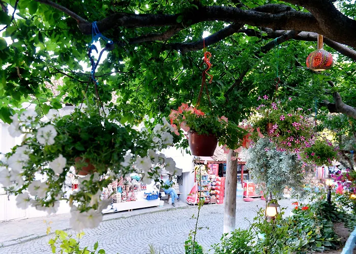 Sirincem Alloggio in famiglia *